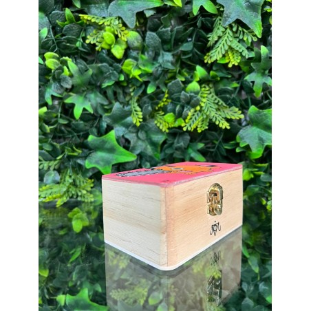 Caja Pequeña Madera Pintada a Mano Pochita de Chainsaw Man