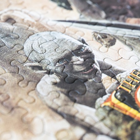 Puzzle 500 Piezas El Señor de los Anilloa