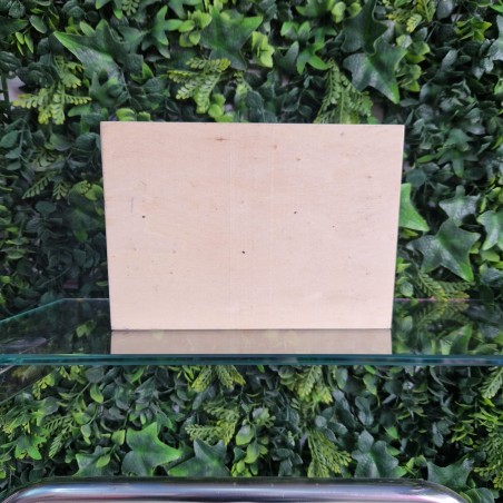 Caja Madera Artesanal Pokemon