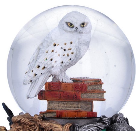 Bola De Nieve Hedwig Harry Potter