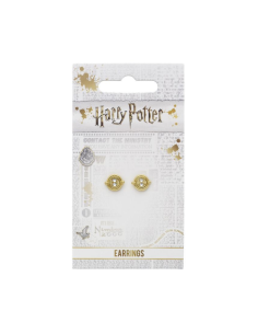 Pendientes Giratiempos Harry Potter 2