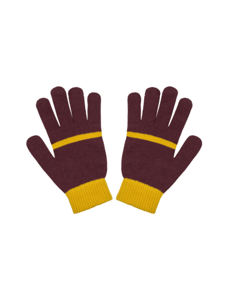 Caja Regalo Deluxe Kids Gryffindor Harry Potter