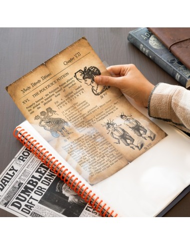 CARPETA DE FUNDAS A4 HARRY POTTER