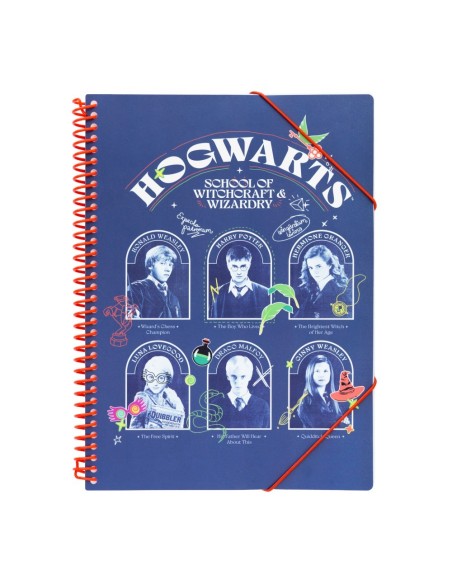 CARPETA DE FUNDAS A4 HARRY POTTER
