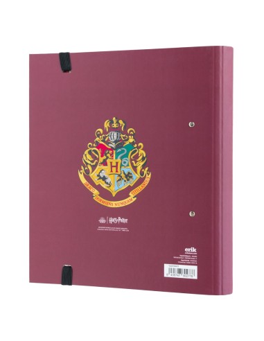 CARPETA 2 ANILLAS HARRY POTTER PLATAFORMA 9 3/4